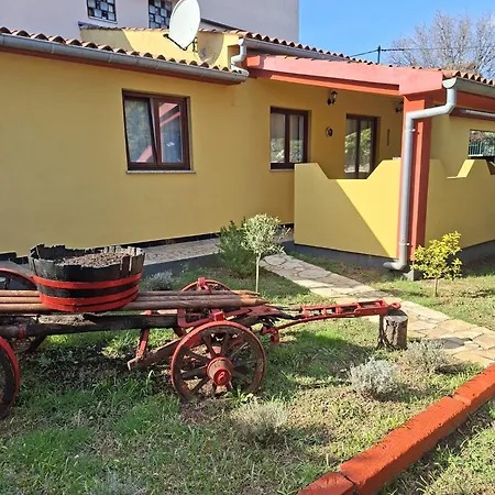 Modern Croatian House *