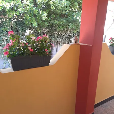 Modern With Garden & Terrace, 13 Min To Arena *