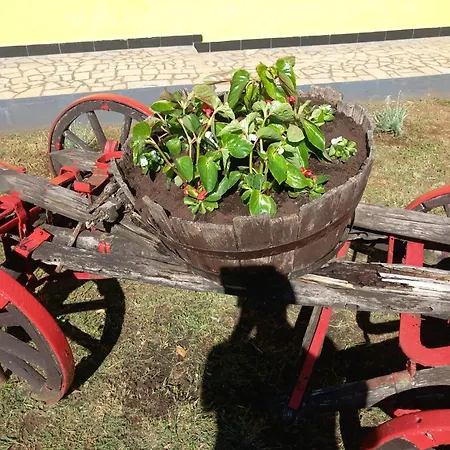 Modern With Garden & Terrace, 13 Min To Arena Pula
