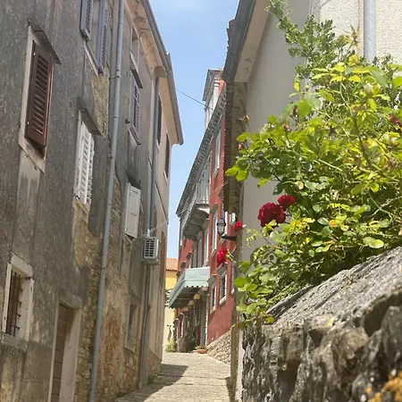 Modern Croatian House Villa *