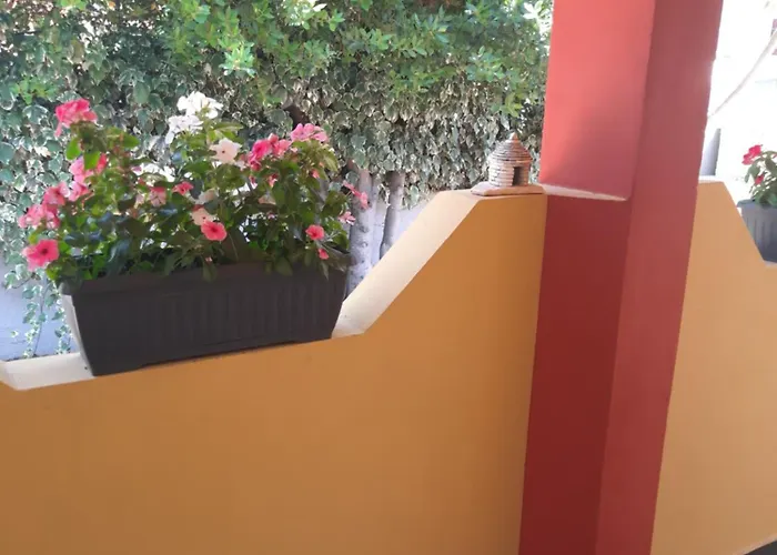 Modern Croatian House *