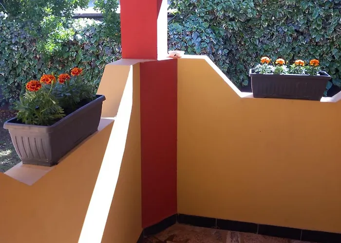 Modern Croatian House *