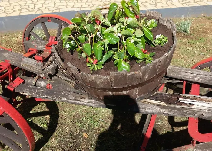 Modern Croatian House Pula