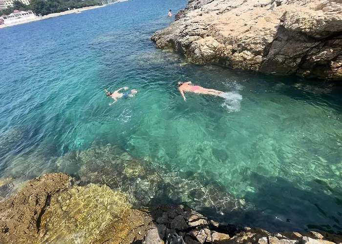 Modern Croatian House *