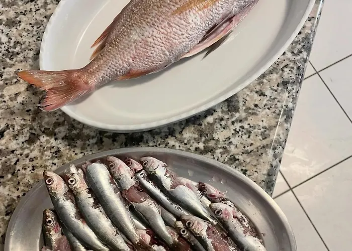 Villa Modern Croatian House Pula